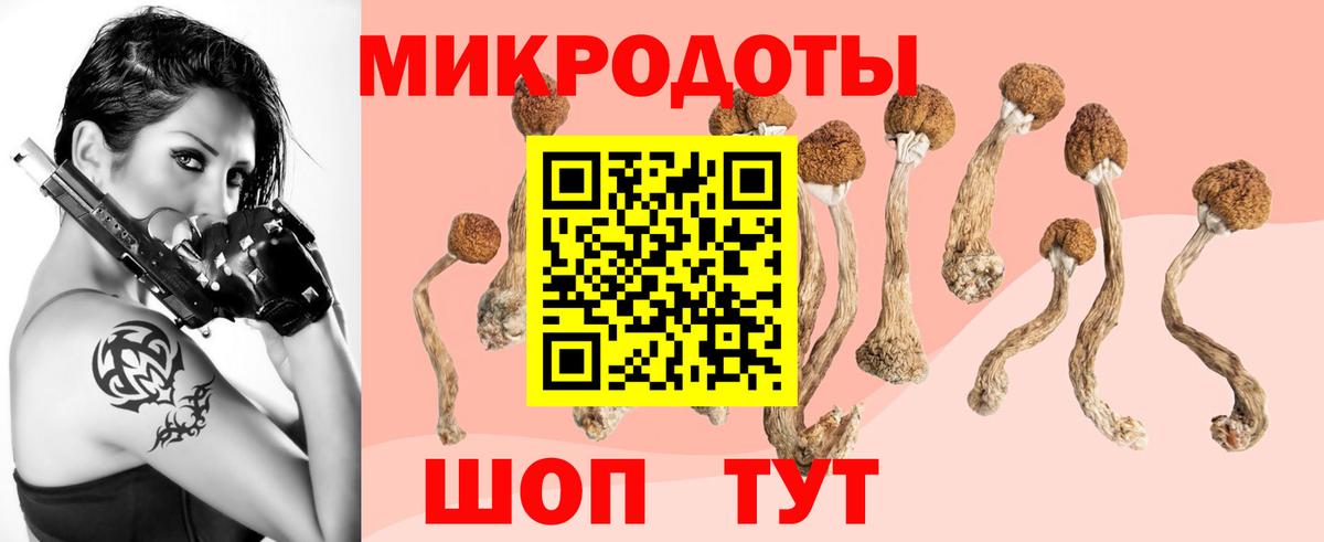 Псилоцибиновые грибы Cubensis  Вход с VPN  Псилоцибиновые грибы GOLDEN TEACHER  Воскресенск 